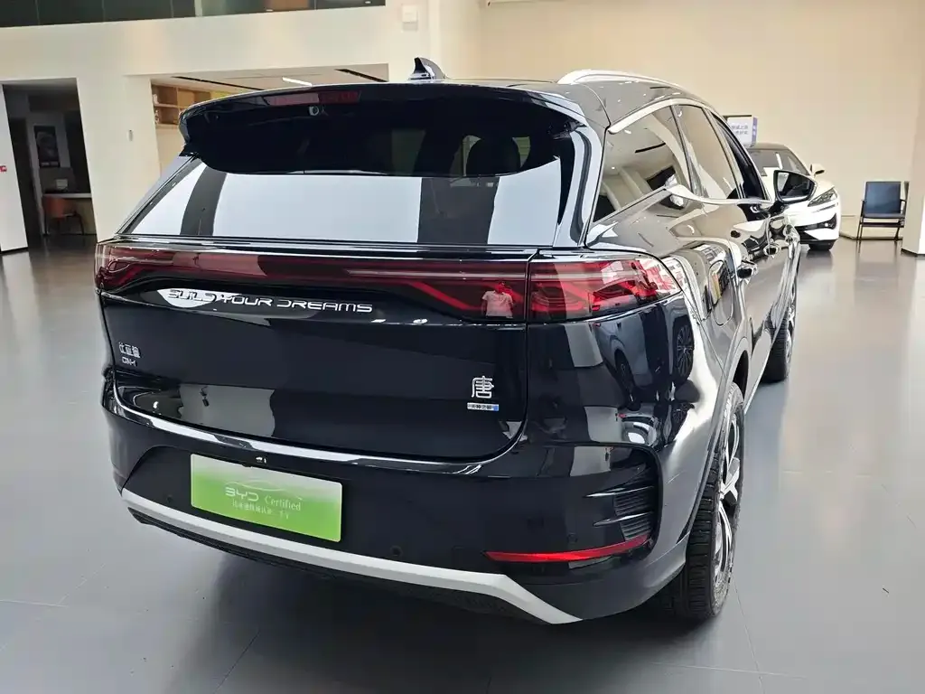 BYD Tang New Energy — фото 5