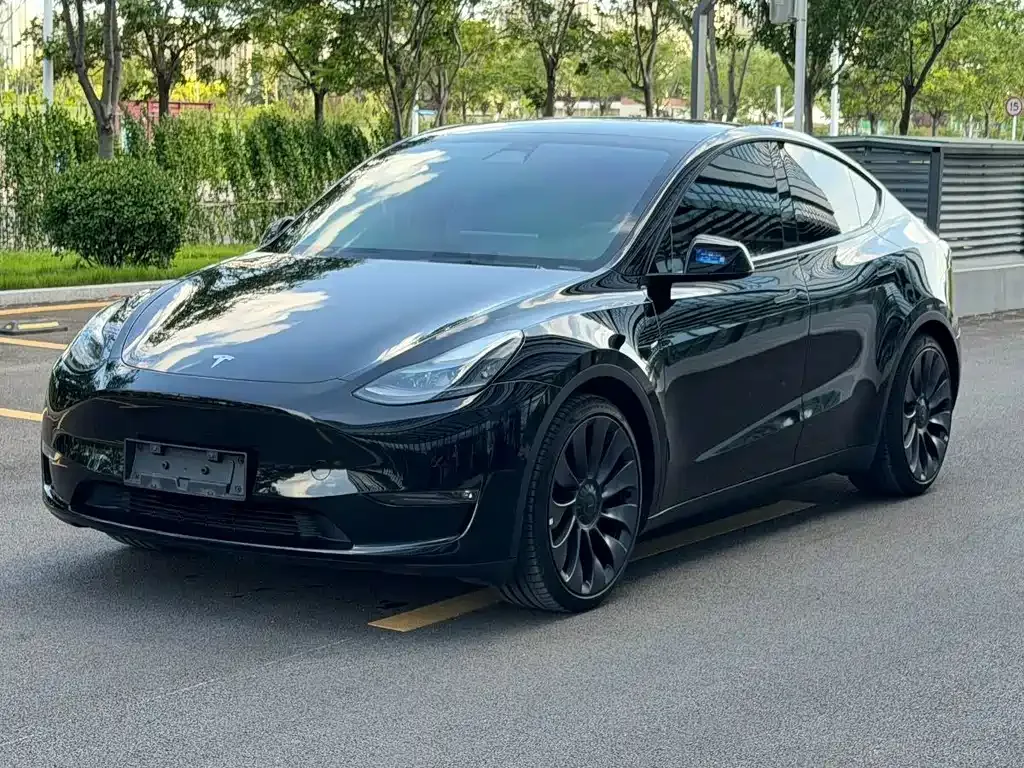 Tesla Model Y — фото 1