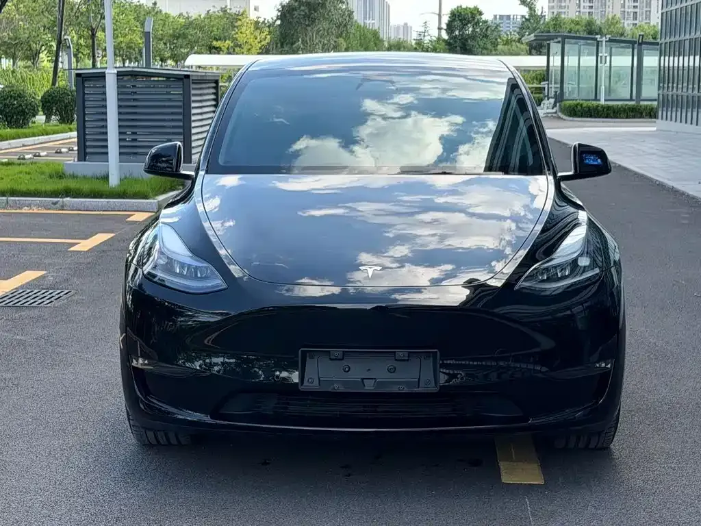 Tesla Model Y — фото 2