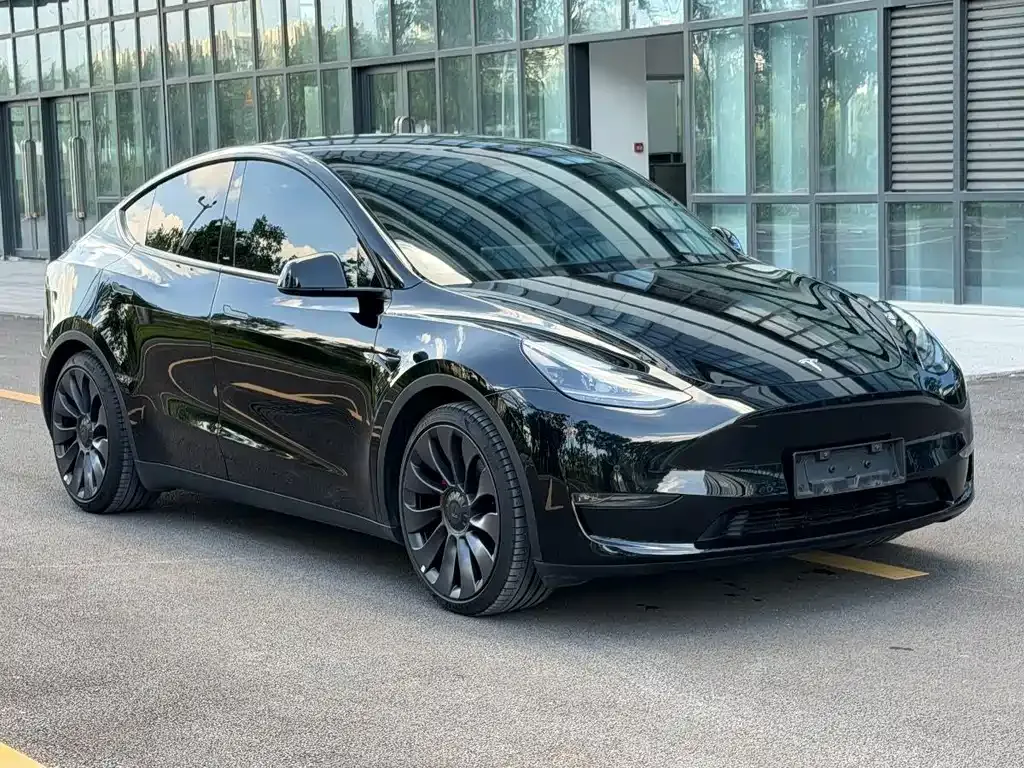Tesla Model Y — фото 9