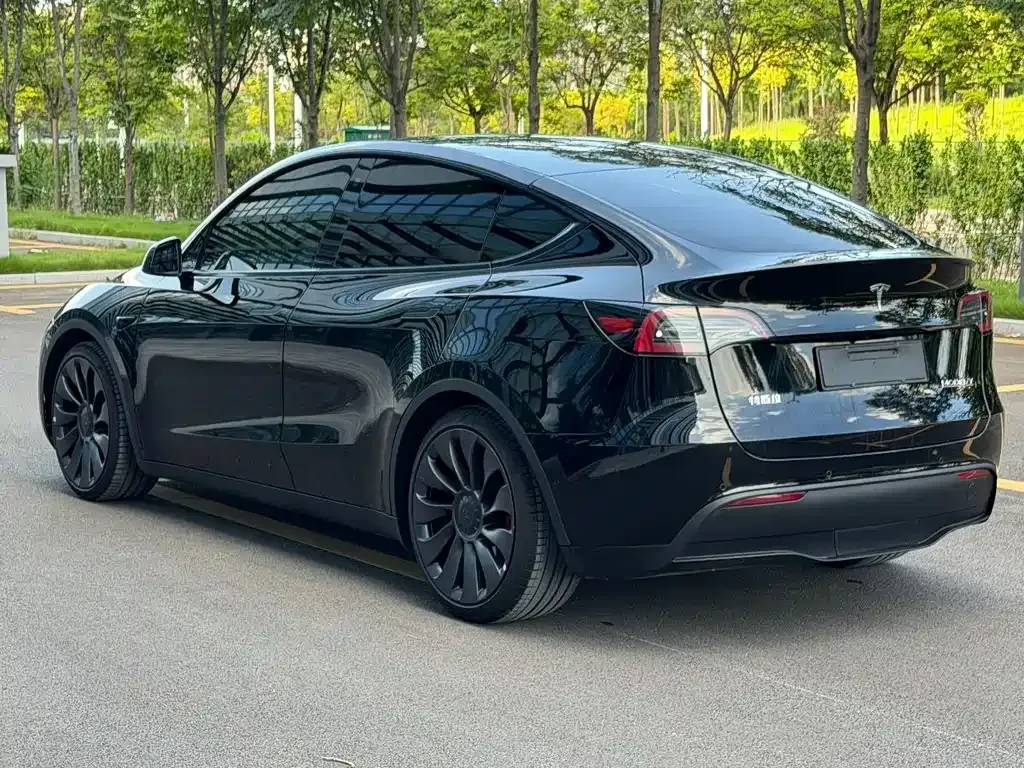 Tesla Model Y — фото 10