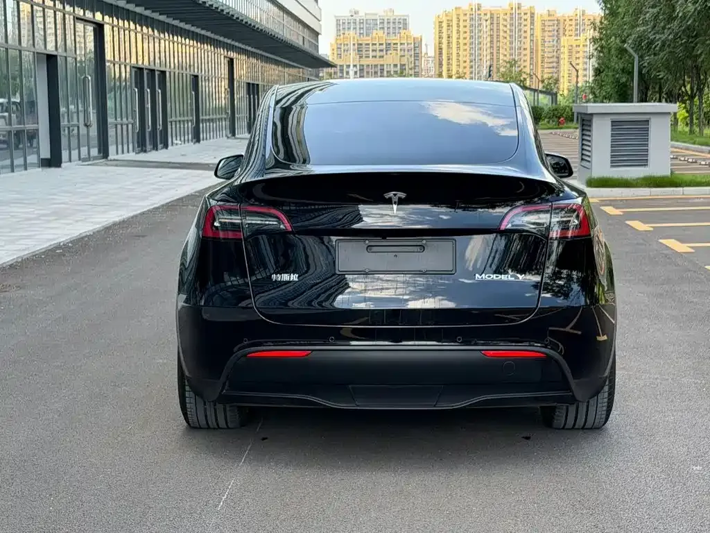 Tesla Model Y — фото 6