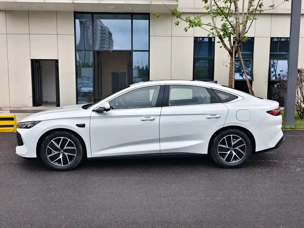 BYD Qin L — фото 6