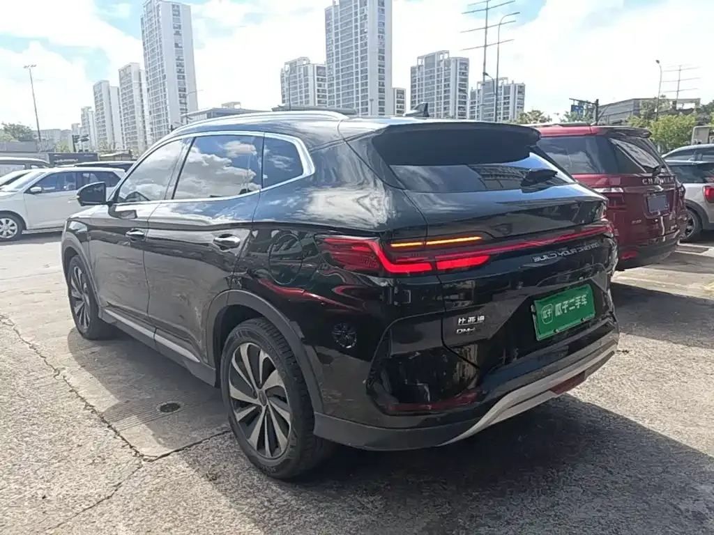 BYD PLUS New Energy — фото 3