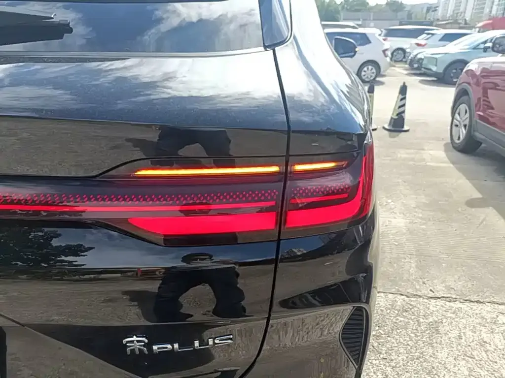 BYD PLUS New Energy — фото 4