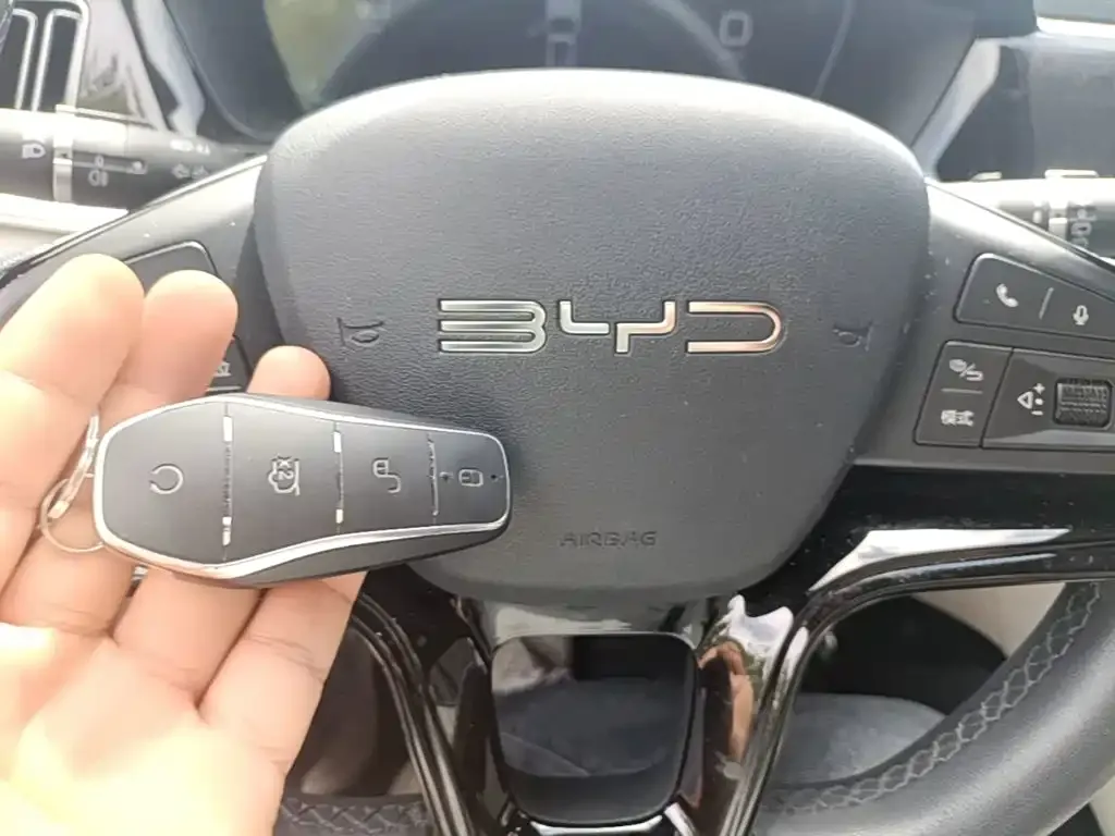 BYD PLUS New Energy — фото 2