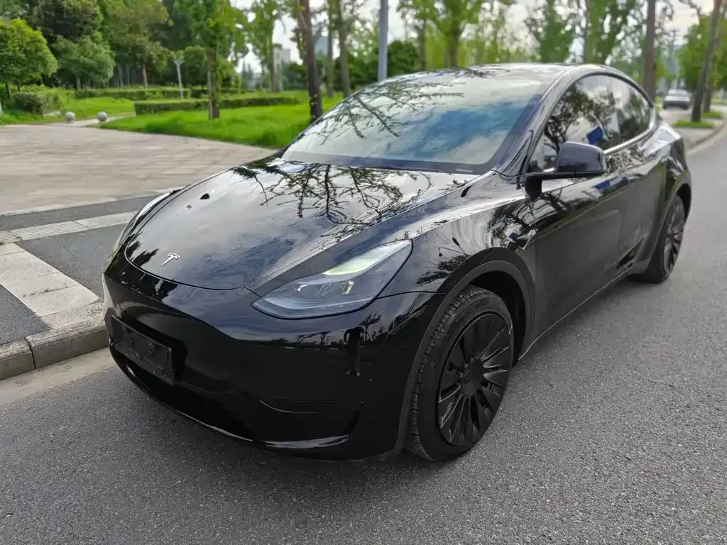 Tesla Model Y — фото 1
