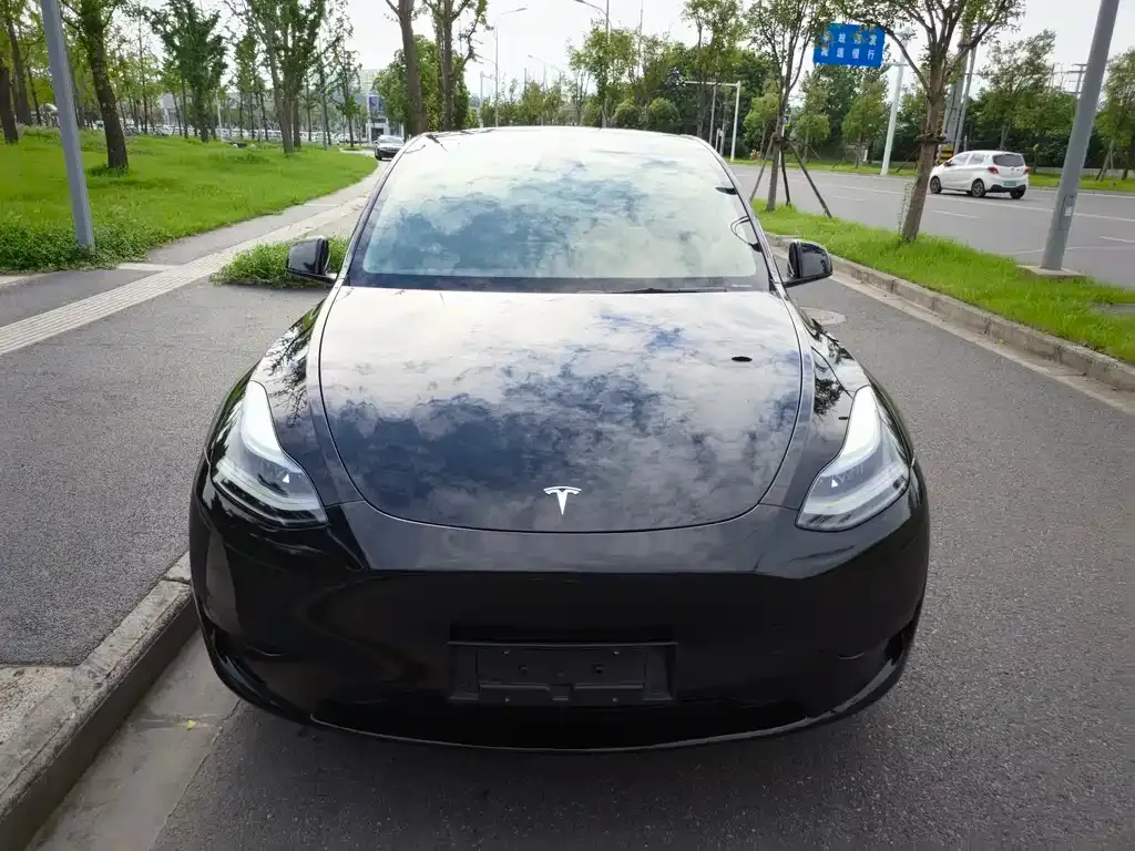 Tesla Model Y — фото 6