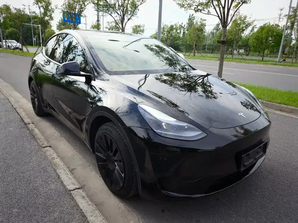 Tesla Model Y — фото 7
