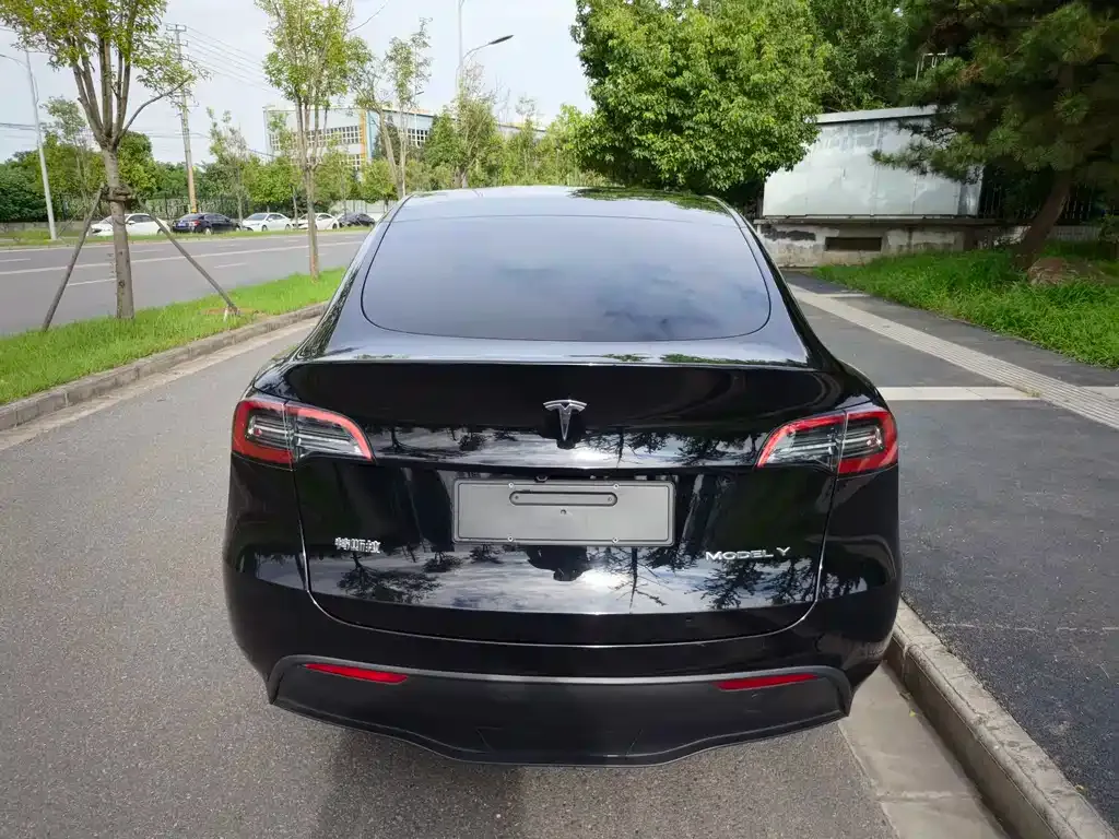 Tesla Model Y — фото 5