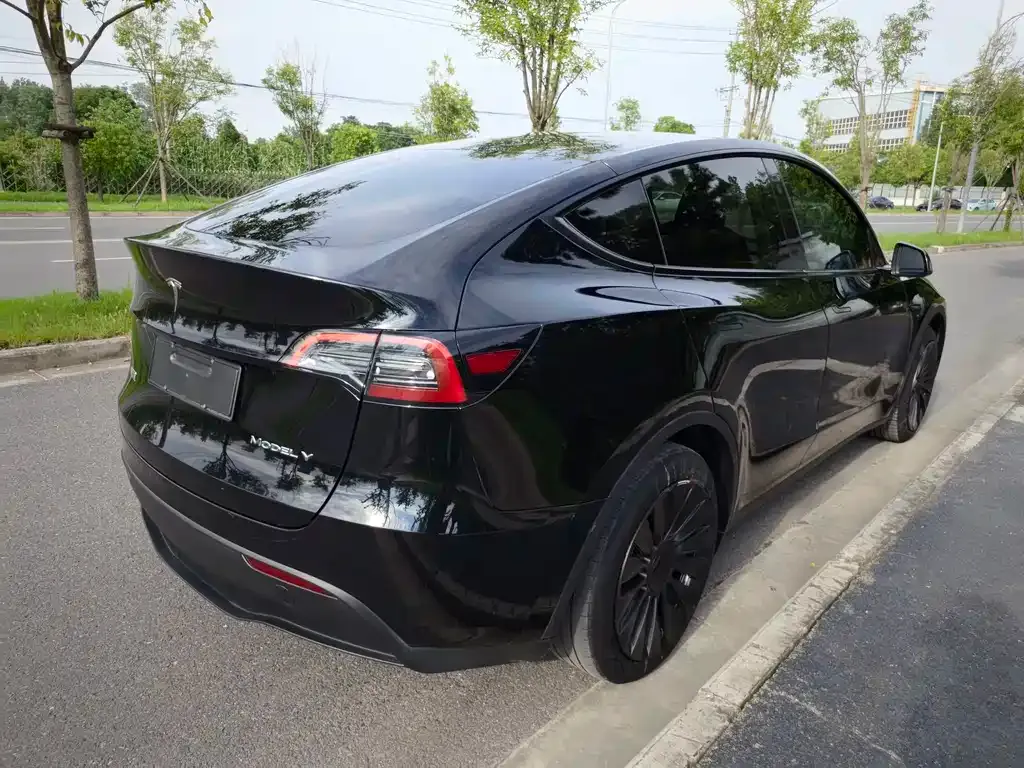 Tesla Model Y — фото 8