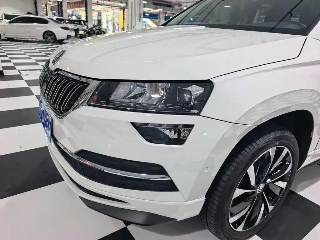 Skoda Karoq — фото 7