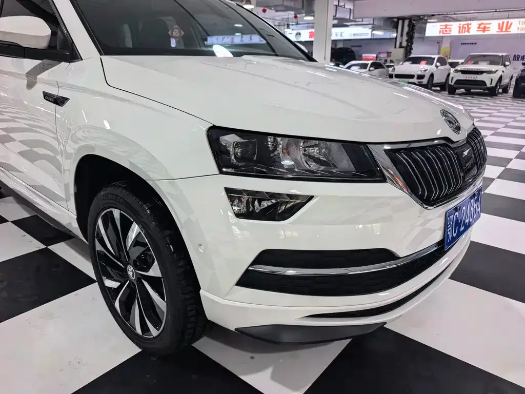 Skoda Karoq — фото 6