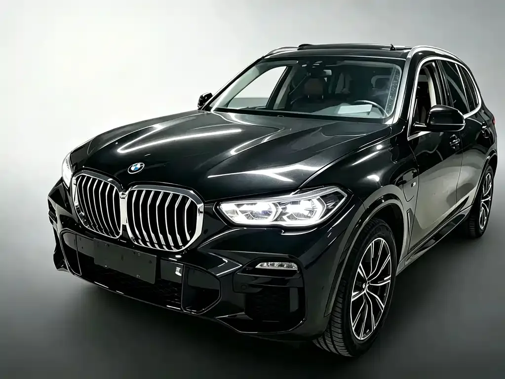 BMW X5 New Energy (Import) — фото 1