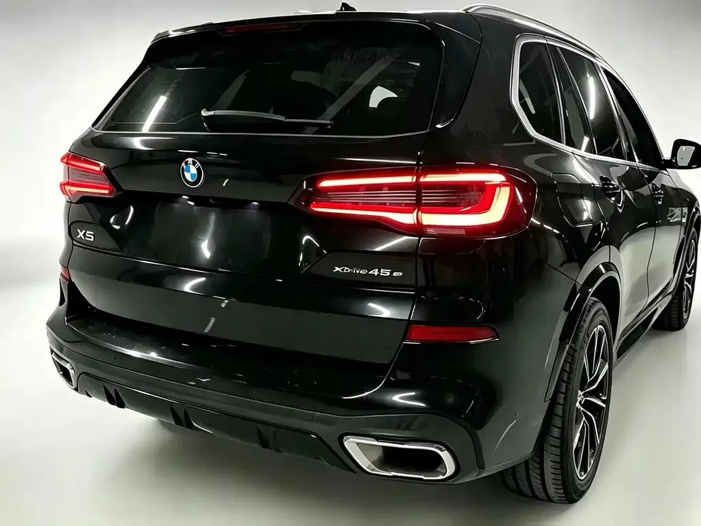 BMW X5 New Energy (Import) — фото 5