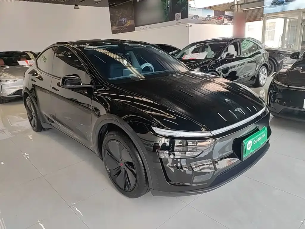 Tesla Model Y — фото 2