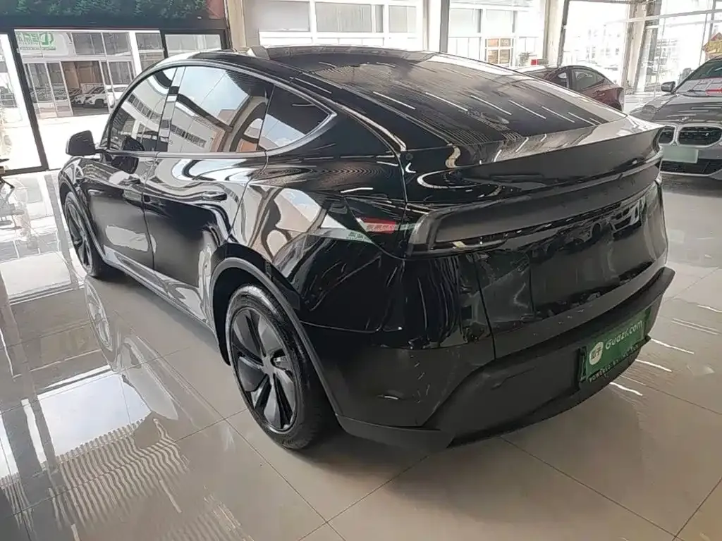 Tesla Model Y — фото 10