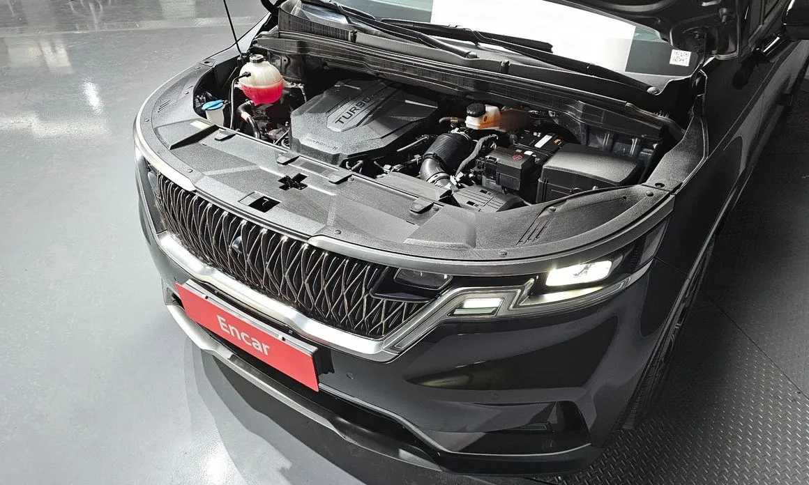Kia Carnival — фото 10