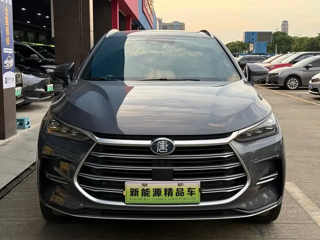 BYD Tang New Energy — фото 4