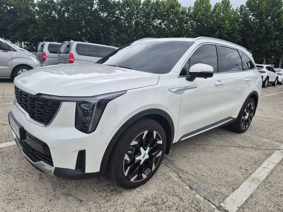 Kia Sorento — фото 6
