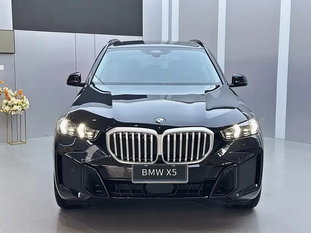 BMW X5 — фото 4