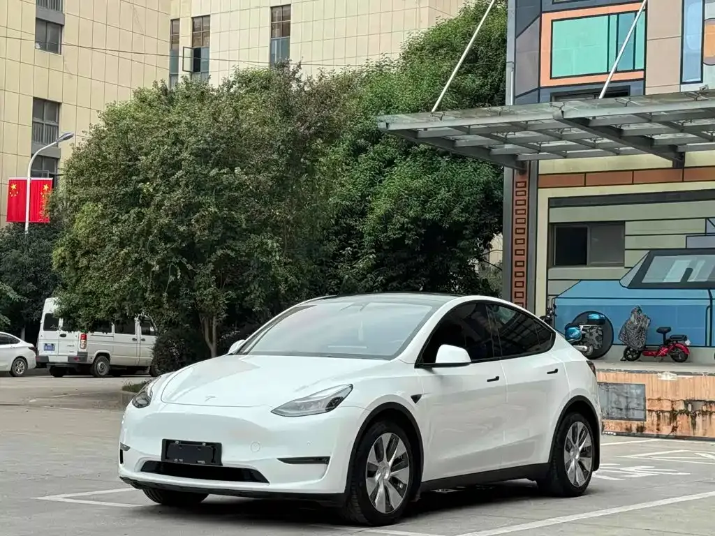 Tesla Model Y — фото 1
