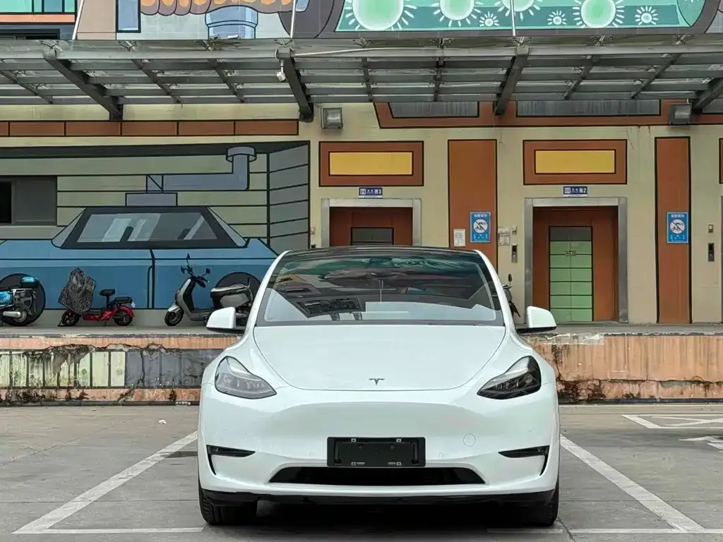Tesla Model Y — фото 3