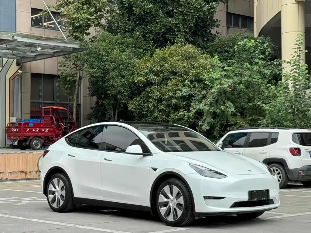 Tesla Model Y — фото 7
