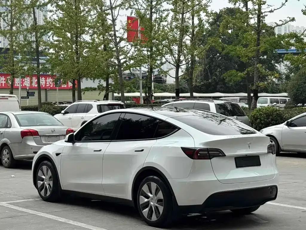 Tesla Model Y — фото 8