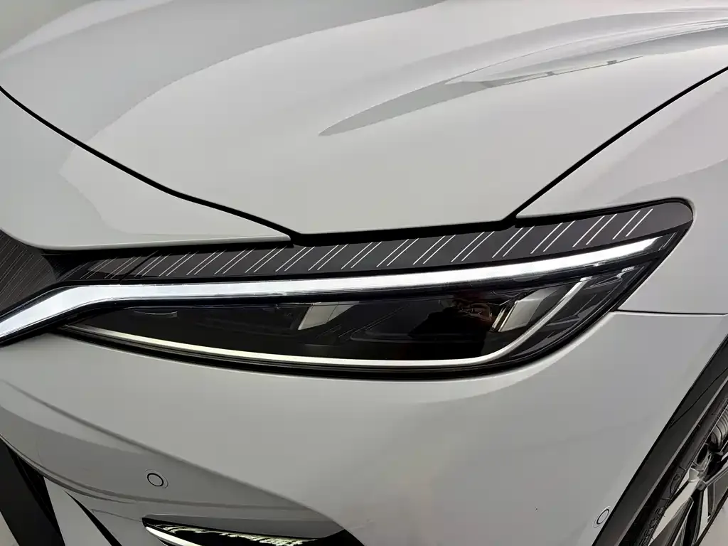 BYD L EV — фото 2