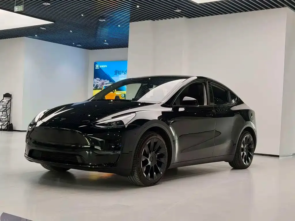 Tesla Model Y — фото 1
