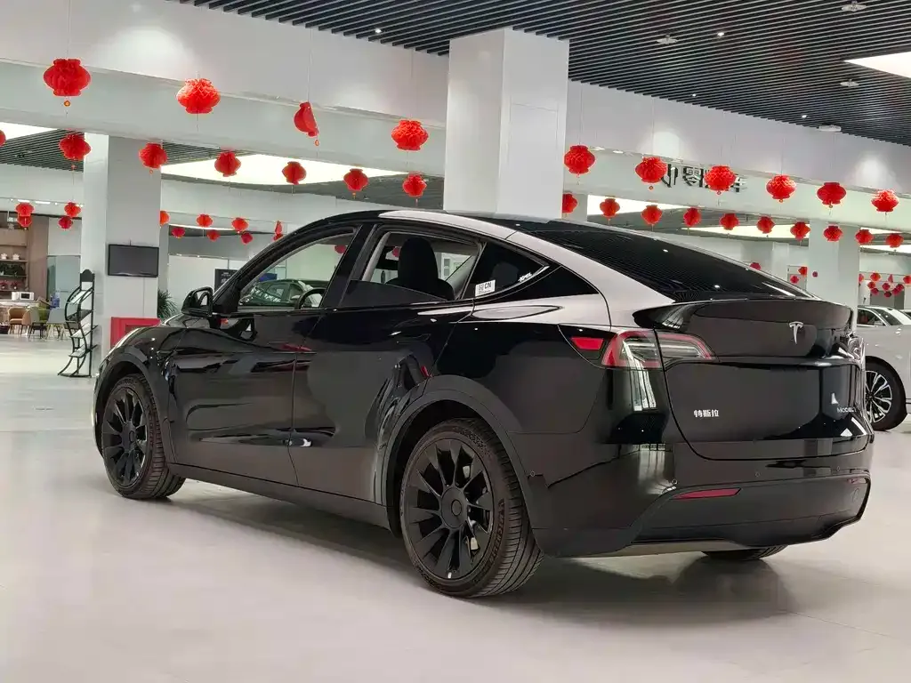 Tesla Model Y — фото 9