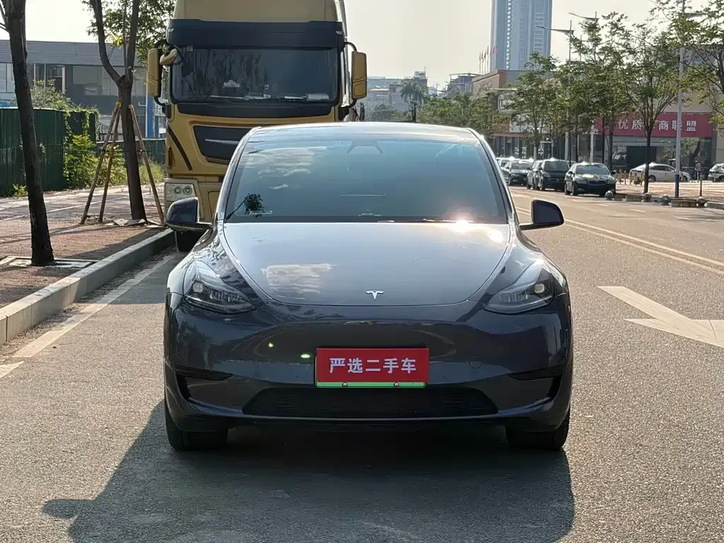 Tesla Model Y — фото 6