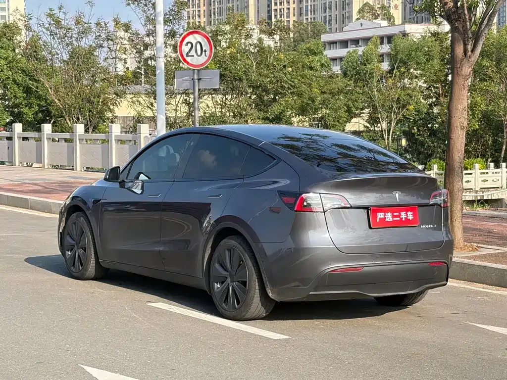 Tesla Model Y — фото 8