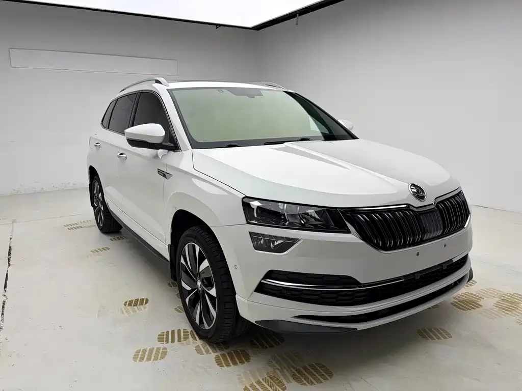Skoda Karoq — фото 5