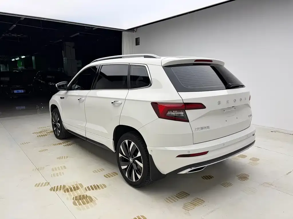 Skoda Karoq — фото 9
