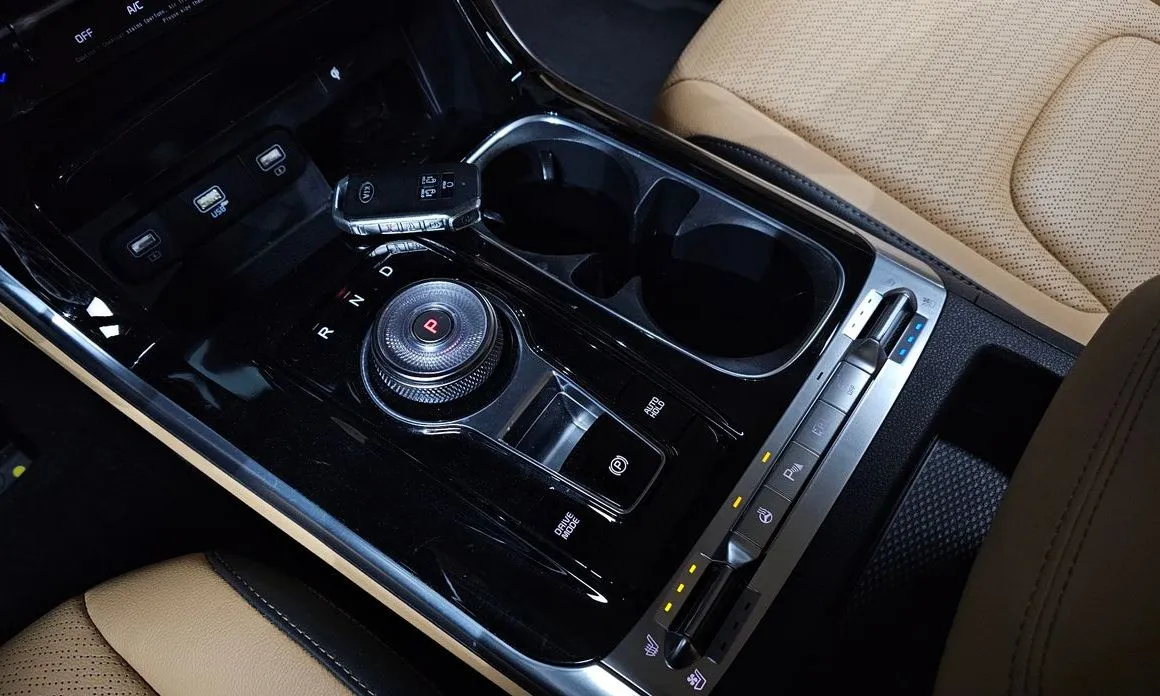 Kia Carnival — фото 10