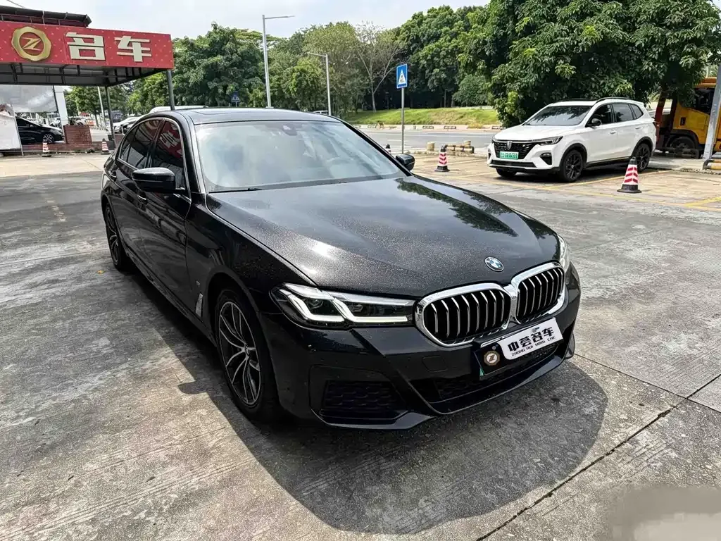 BMW 5 Series New Energy — фото 8