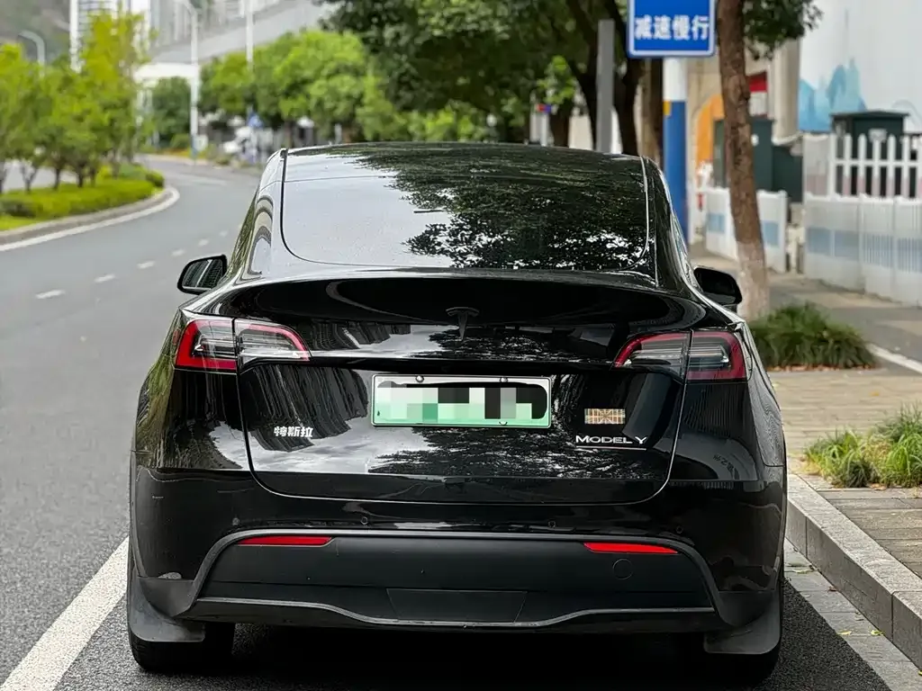Tesla Model Y — фото 8