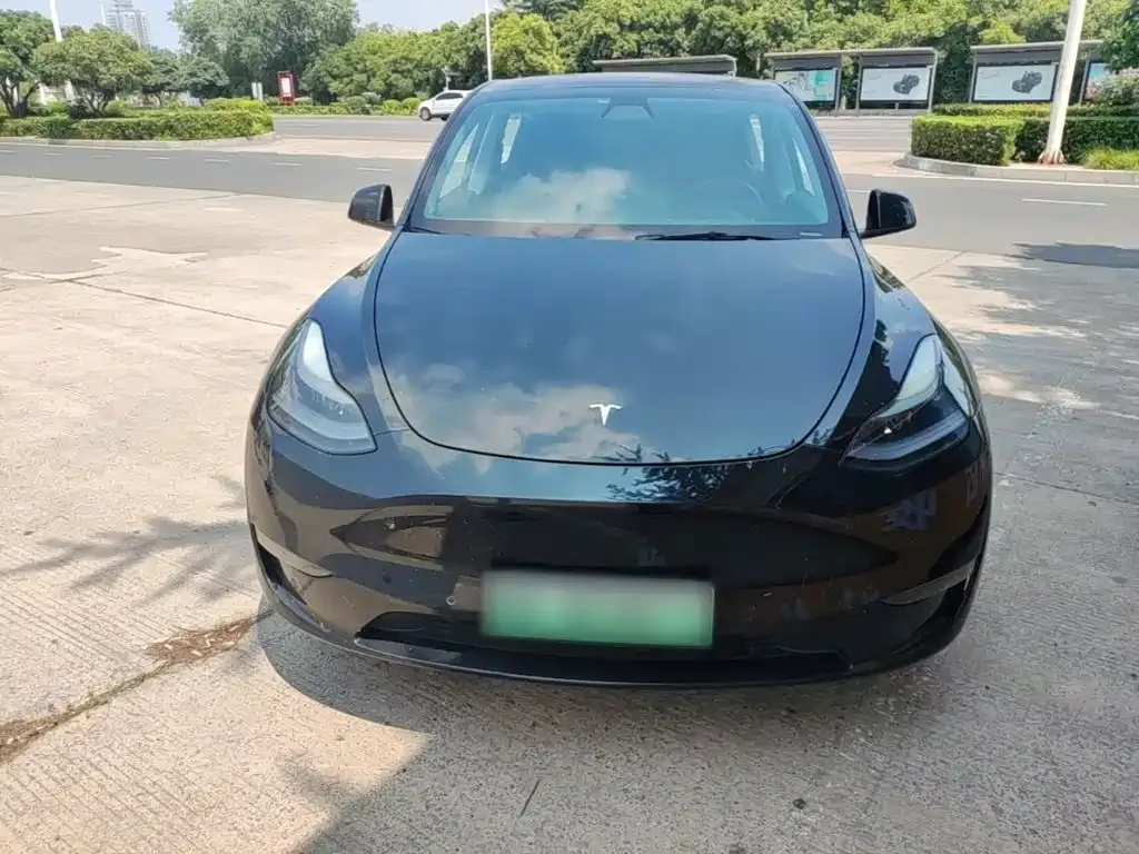 Tesla Model Y — фото 6