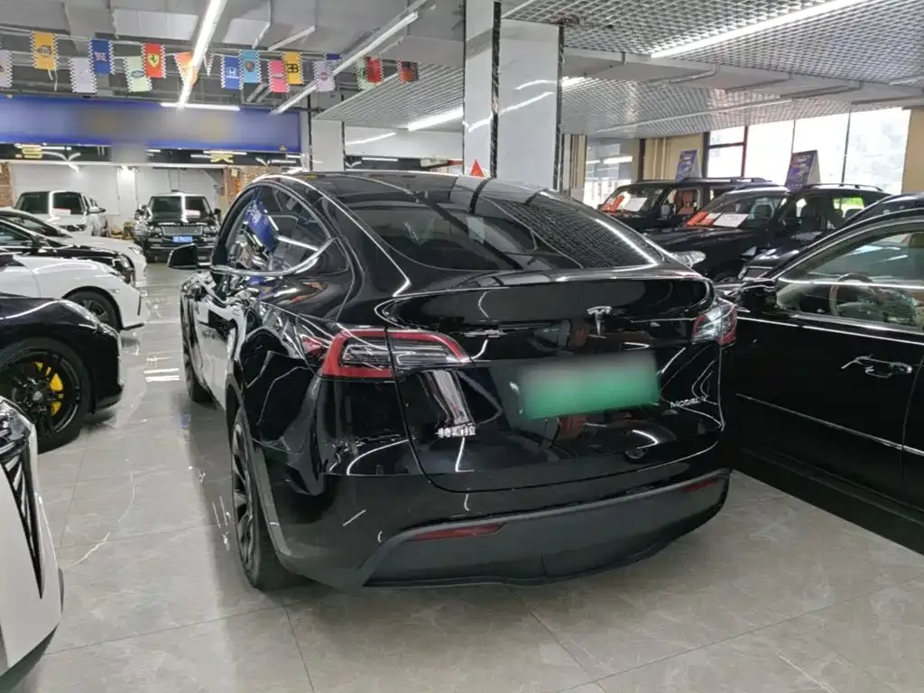 Tesla Model Y — фото 6