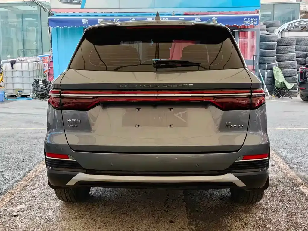 BYD Pro New Energy — фото 6