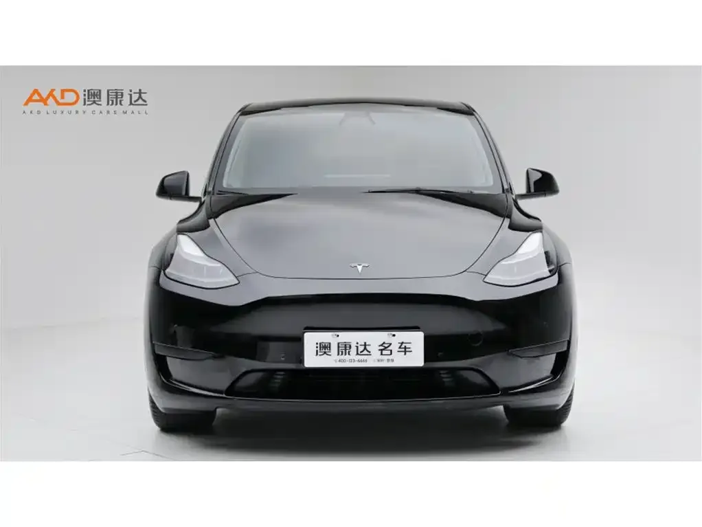 Tesla Model Y — фото 6