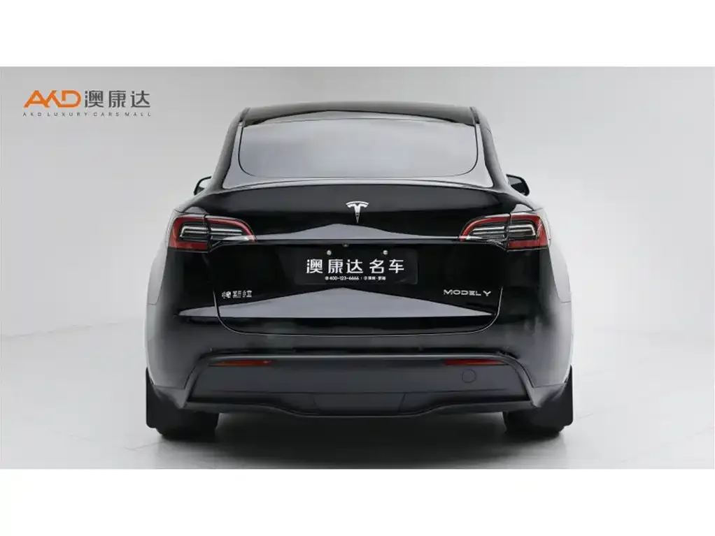 Tesla Model Y — фото 7
