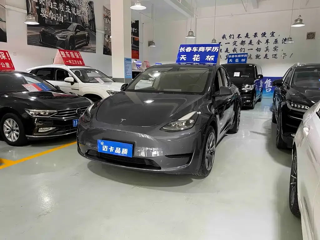 Tesla Model Y — фото 1