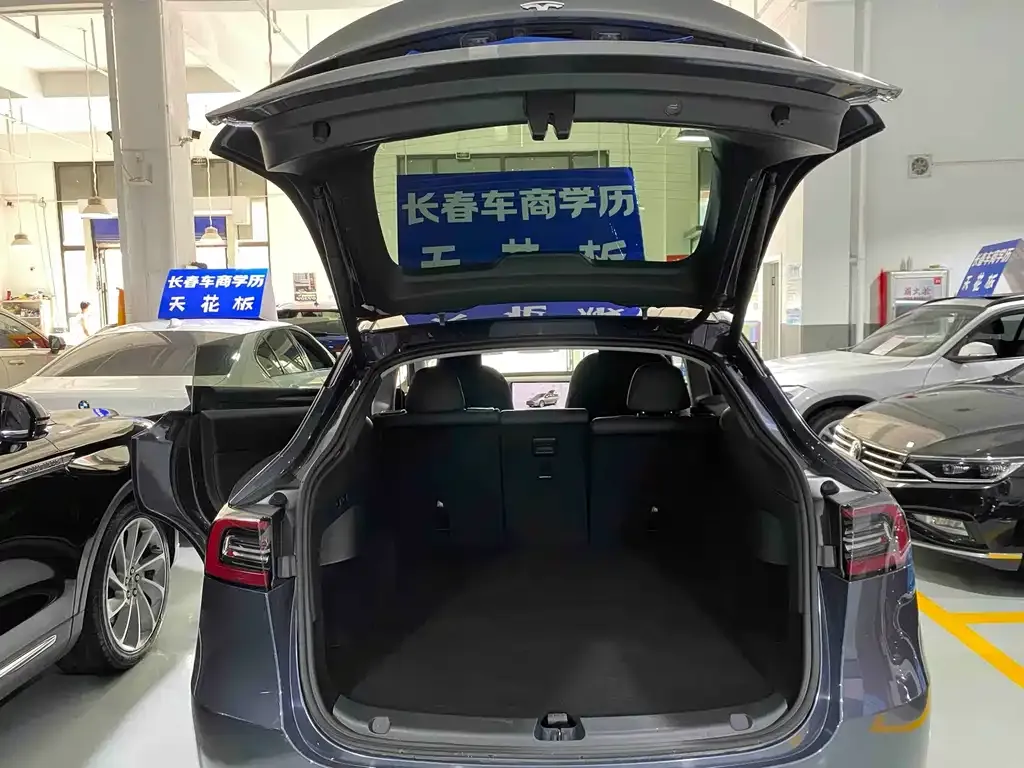 Tesla Model Y — фото 2