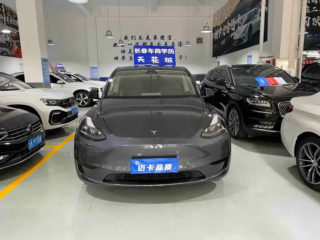 Tesla Model Y — фото 10