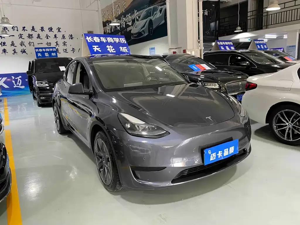 Tesla Model Y — фото 8