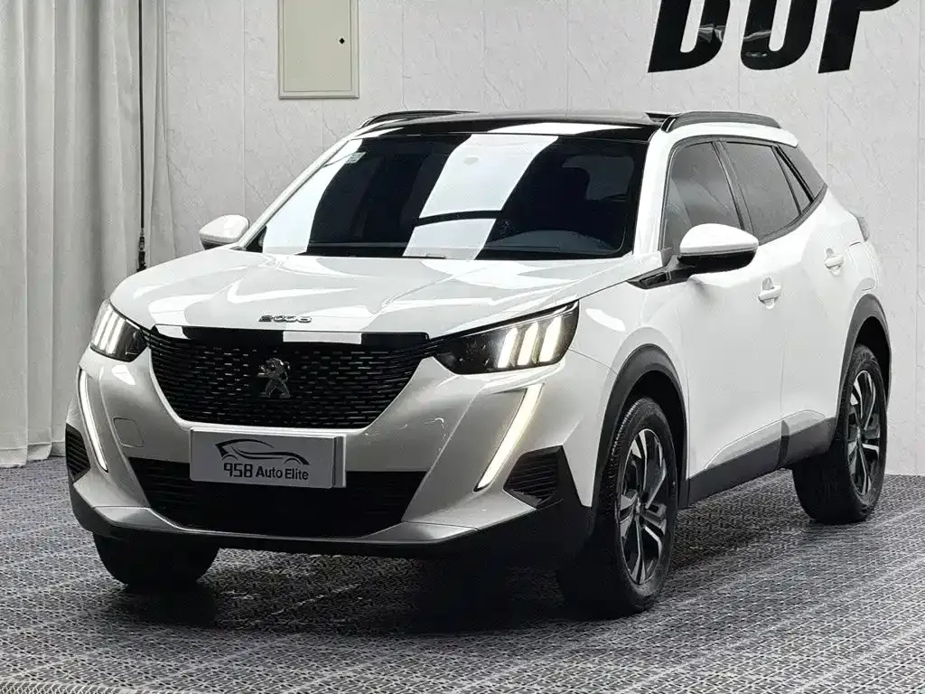 Peugeot 2008 — фото 1