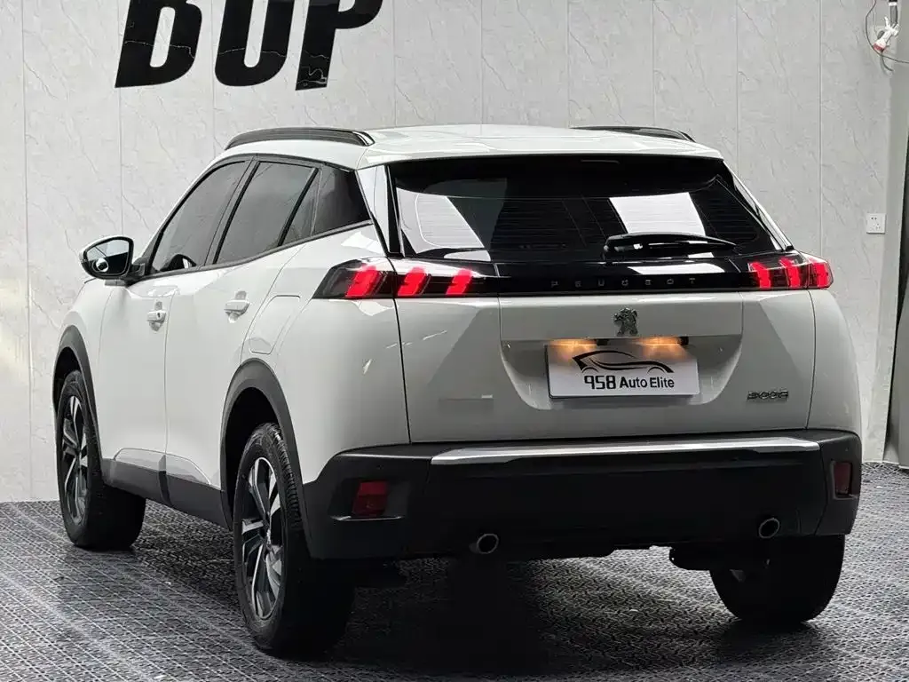 Peugeot 2008 — фото 10